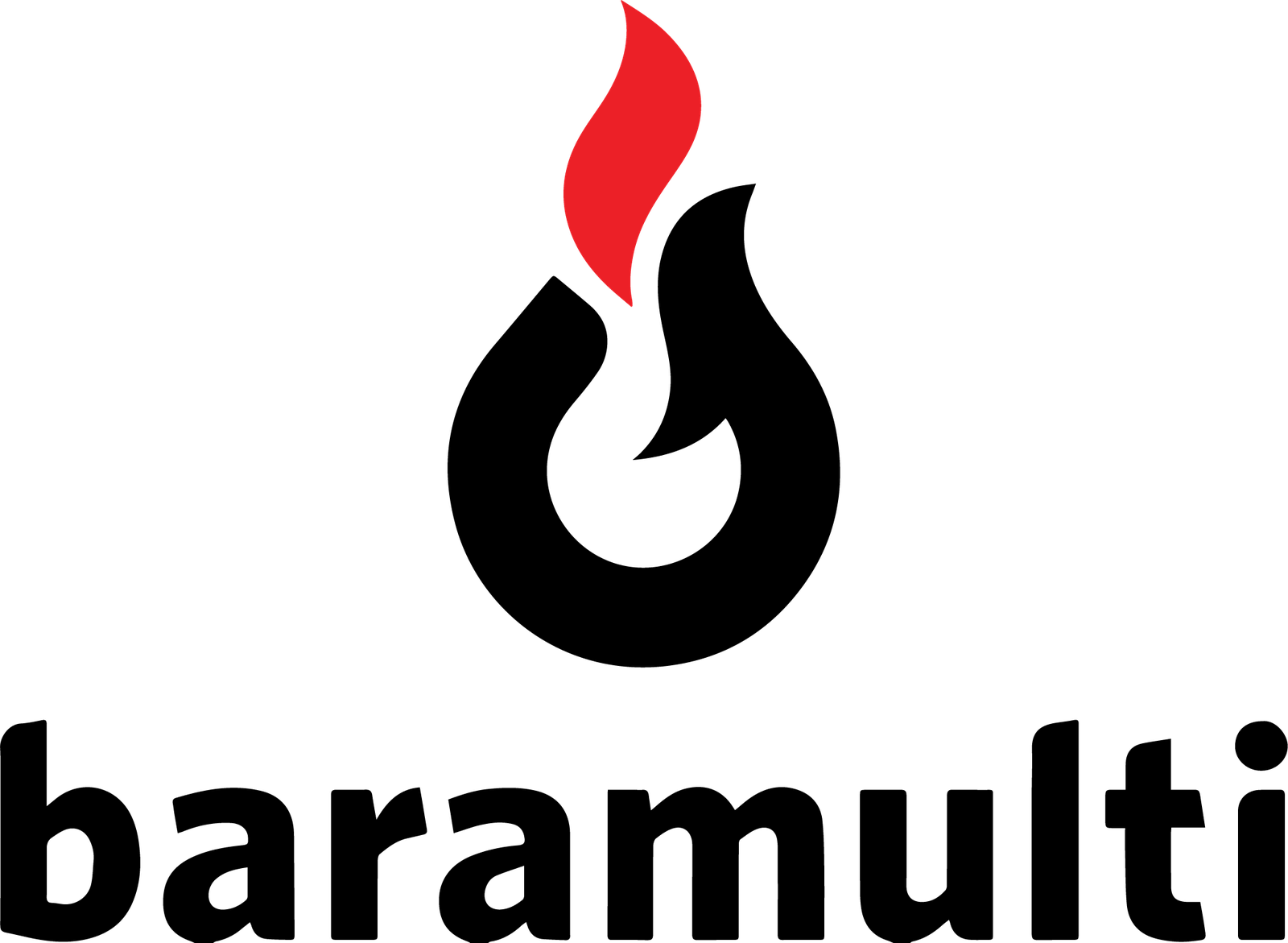 Logo Baramulti